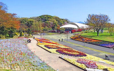 🌳 히비키나다 녹지 (그린파크) 이미지 2